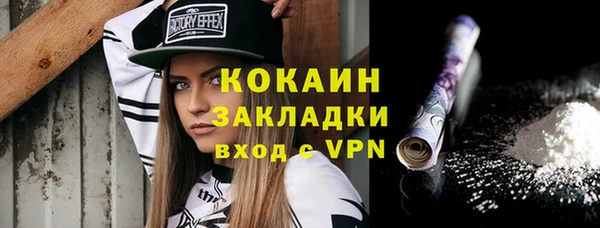 винт Алексин