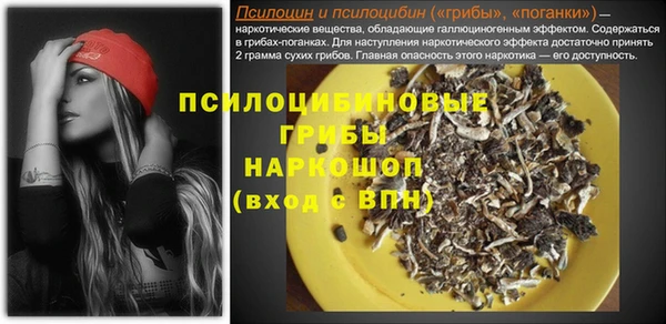 гашик Алексеевка