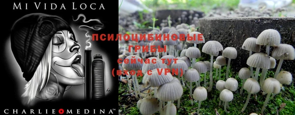 гашик Алексеевка