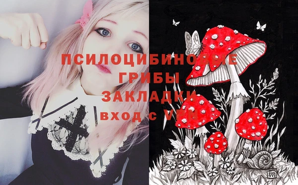 винт Алексин