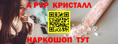 ECSTASY Камышлов