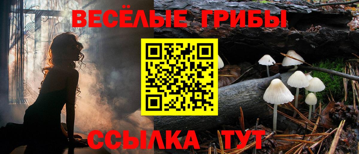 Псилоцибиновые грибы прущие грибы Лянтор